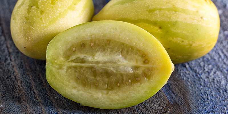 Hru&scaron;kov&yacute; meloun