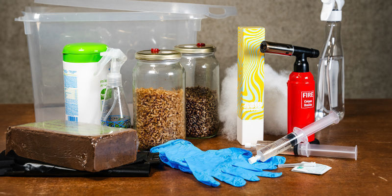 Jak pěstovat lysohl&aacute;vky v monotubu