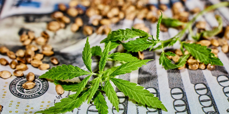 Dočk&aacute;me se brzy změny?