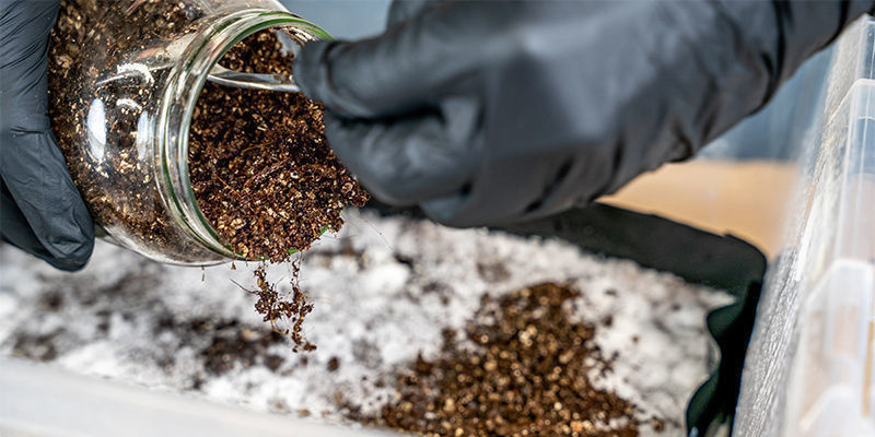 Jak siln&aacute; m&aacute; b&yacute;t kryc&iacute; vrstva?