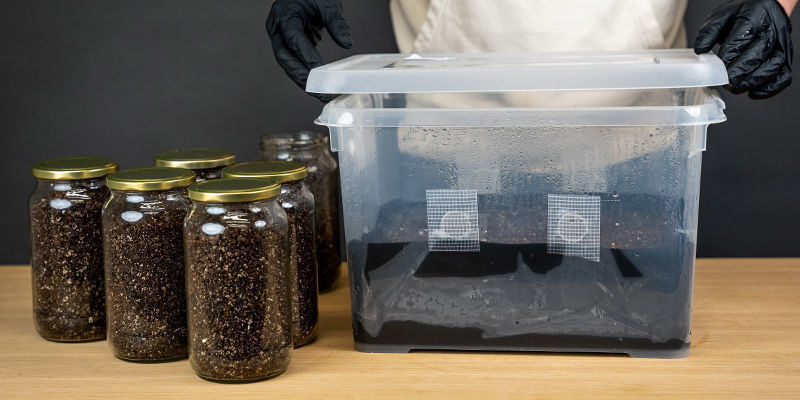 Co je to vlastně kryc&iacute; vrstva?