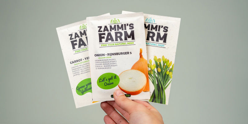 Kl&iacute;dek &mdash; Zamnesia se postar&aacute;