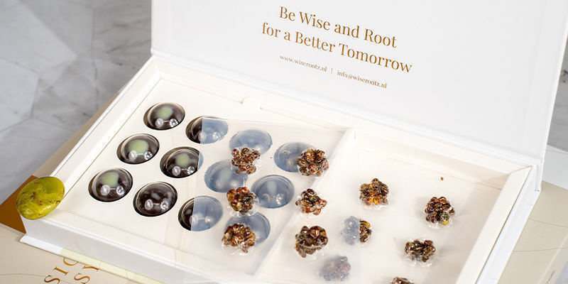 Microdosing s Wise Rootz: nejnověj&scaron;&iacute; hranice využit&iacute; psychedelik pro pohodu