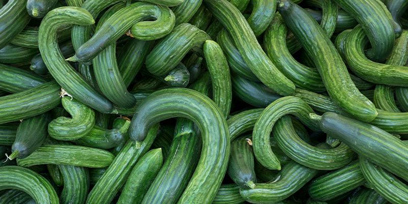 Možn&eacute; probl&eacute;my s rostlinami