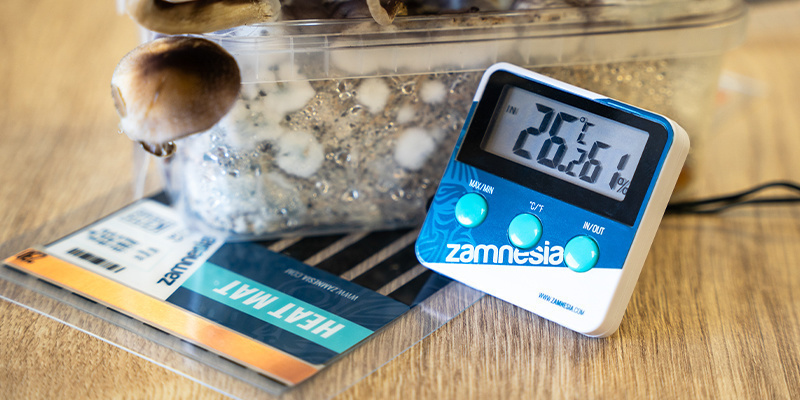 Use a heat mat to keep the temperature between 21&ndash;24&deg;C