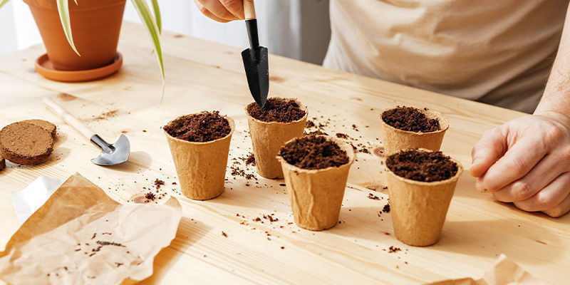 Kdy vys&eacute;vat semena?