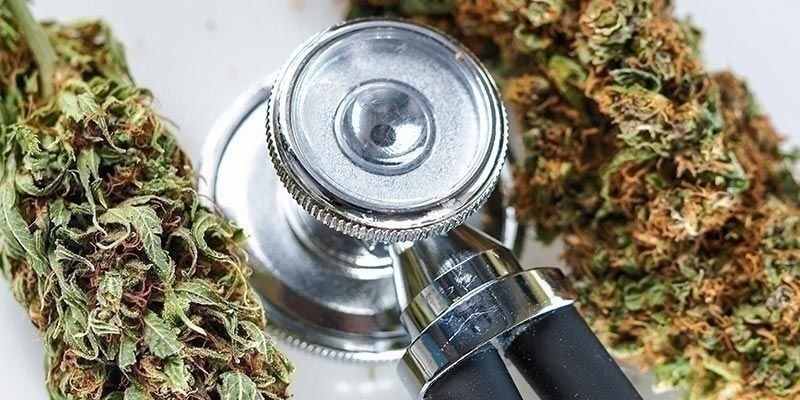 Jak&eacute; jsou možnosti využit&iacute; THCP?