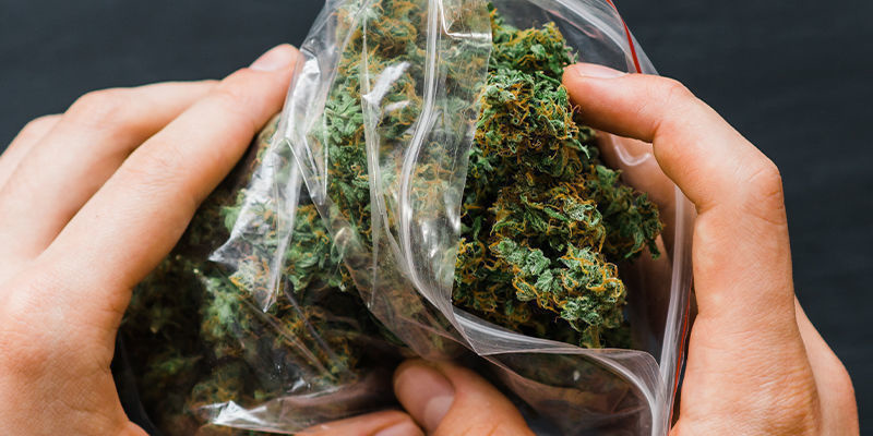 Co jsou nepropustn&eacute; s&aacute;čky na z&aacute;pach?