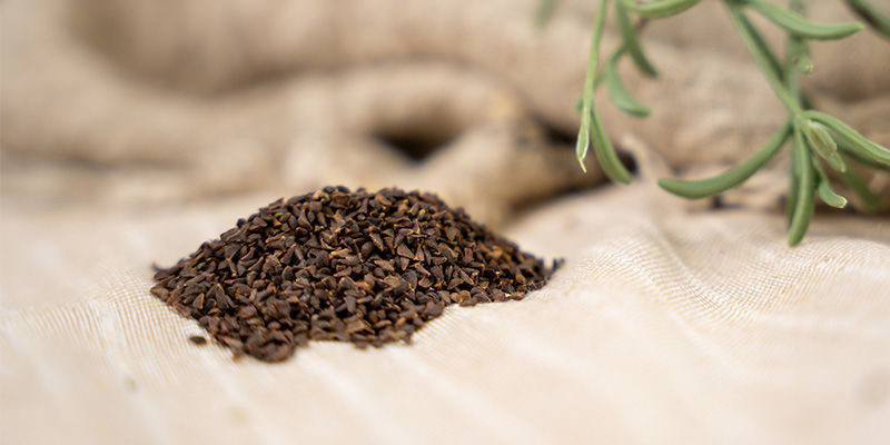 Peganum Harmala: Magick&aacute; semena, o kter&yacute;ch se st&aacute;le m&aacute;me co učit