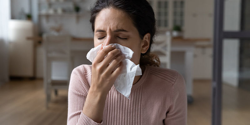 Imunitn&iacute; syst&eacute;m