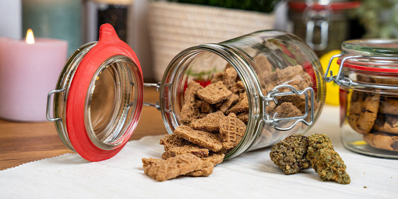 Skleněn&eacute; d&oacute;zy