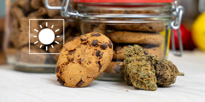 Chraňte před světlem