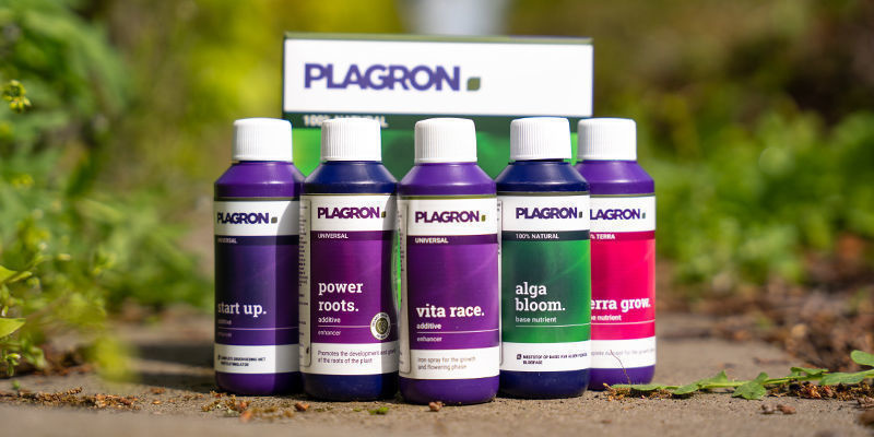 Pl&aacute;nov&aacute;n&iacute;, prevence & Plagron