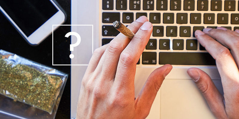 Nejhledaněj&scaron;&iacute; ot&aacute;zky o konop&iacute; na webu zodpovězeny