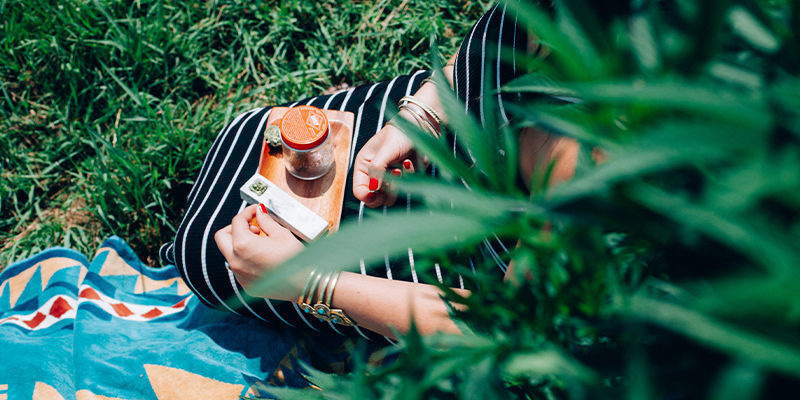 K čemu se použ&iacute;v&aacute; konop&iacute;?