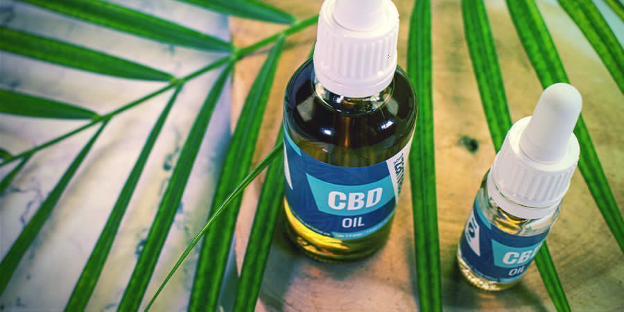 Jak v&aacute;m mohou prospět flavonoidy, terpeny a terpenoidy?