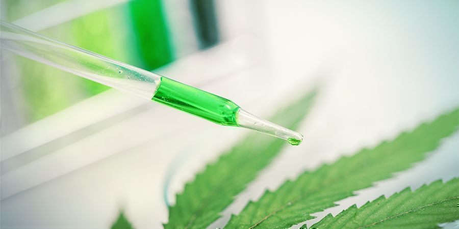 Jak funguj&iacute; terpenoidy?