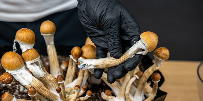 Napl&aacute;nujte si svůj dal&scaron;&iacute; v&yacute;let se Zamnesi&iacute;