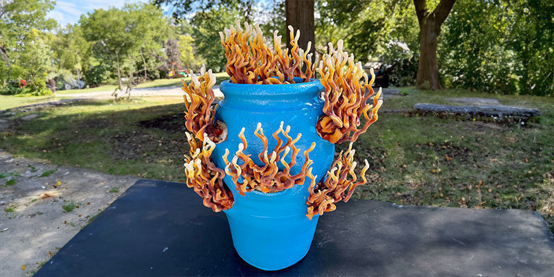 Od květin k sil&aacute;m: Jak houby měn&iacute; svět k lep&scaron;&iacute;mu