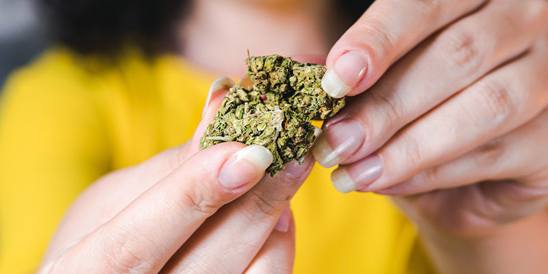 Je květ THCa leg&aacute;ln&iacute;?