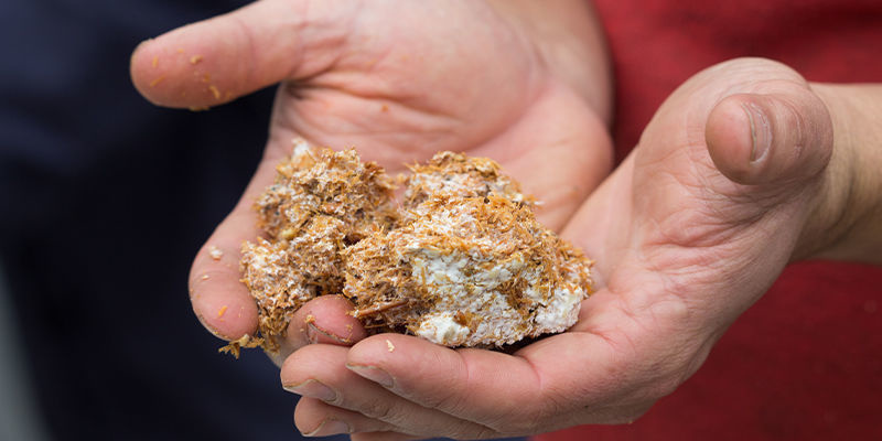 Substr&aacute;t z pilin