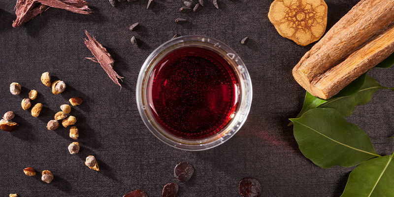 Pochopen&iacute; meskalinu a psilocybinu