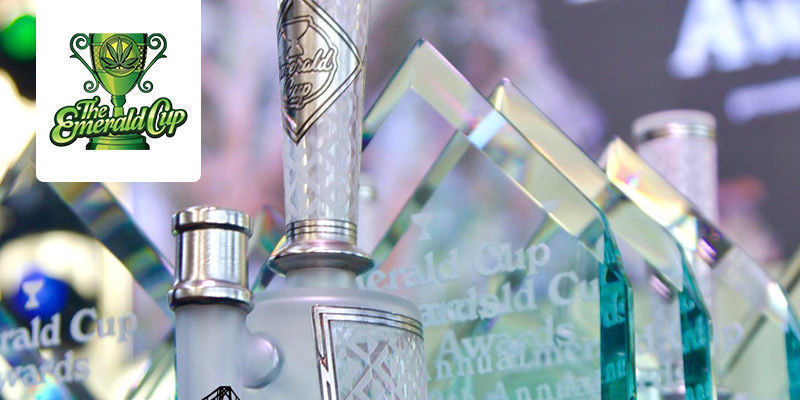 The Emerald Cup - Kalifornie, USA