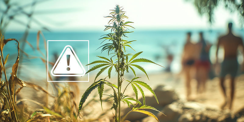 Možn&eacute; probl&eacute;my