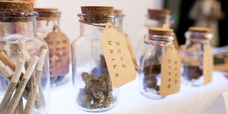 Cannabis kluby v Německu: Neprob&aacute;dan&eacute; &uacute;zem&iacute;