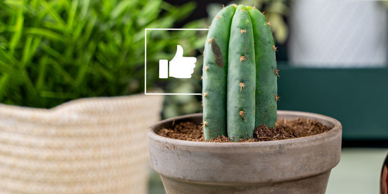 Jak&eacute; jsou v&yacute;hody roubov&aacute;n&iacute;?