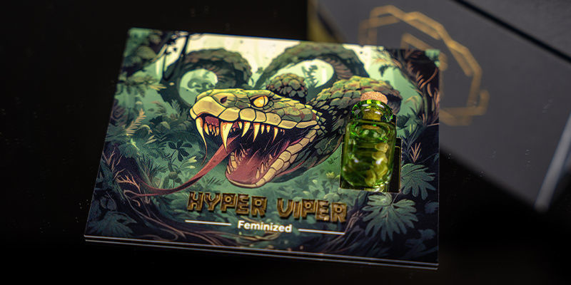 Rank 2 &mdash; Rising Cobra: Hyper Vyper