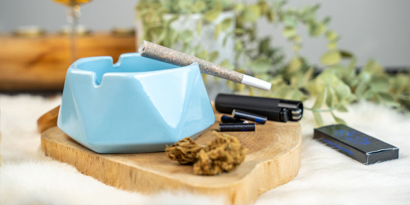 Keramick&yacute; popeln&iacute;k (Zamnesia)