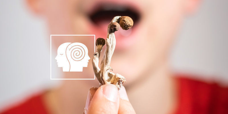 M&yacute;ty o lysohl&aacute;vk&aacute;ch