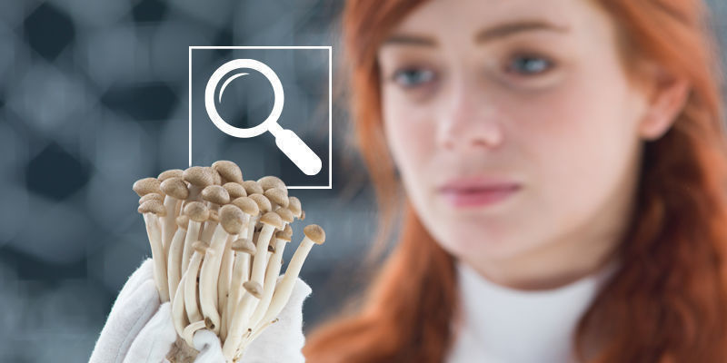 Pravda m&iacute;sto b&aacute;chorek: Z&aacute;věr na&scaron;eho odhalov&aacute;n&iacute; m&yacute;tů o lysohl&aacute;vk&aacute;ch