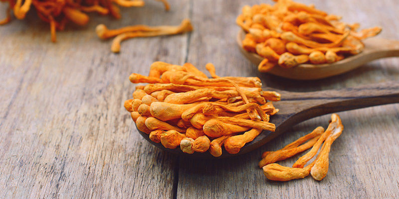 Imunomodulačn&iacute; živiny