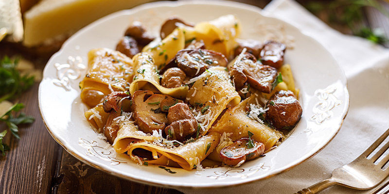 Je zdrav&eacute; j&iacute;st houby každ&yacute; den?