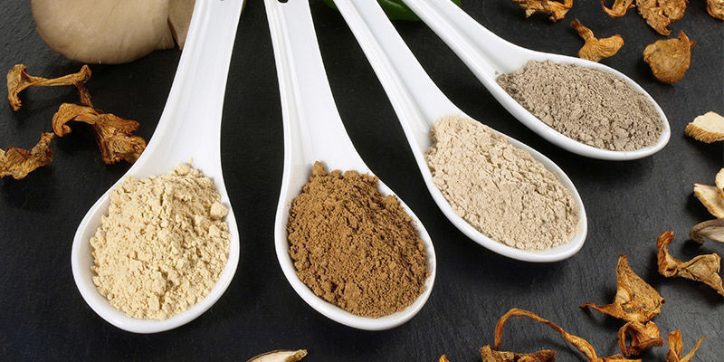 Na houb&aacute;ch je v&iacute;c, než se na prvn&iacute; pohled zd&aacute;