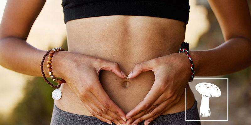 Co pro va&scaron;e tělo dělaj&iacute; houby?