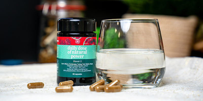 4 Způsoby, Jak Použ&iacute;vat Houbu Cordyceps