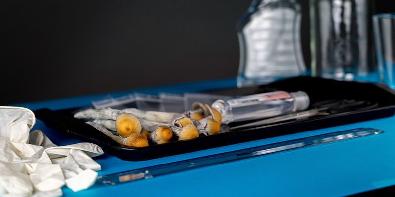 Jak vyrobit v&yacute;trusn&yacute; otisk houby: krok 1