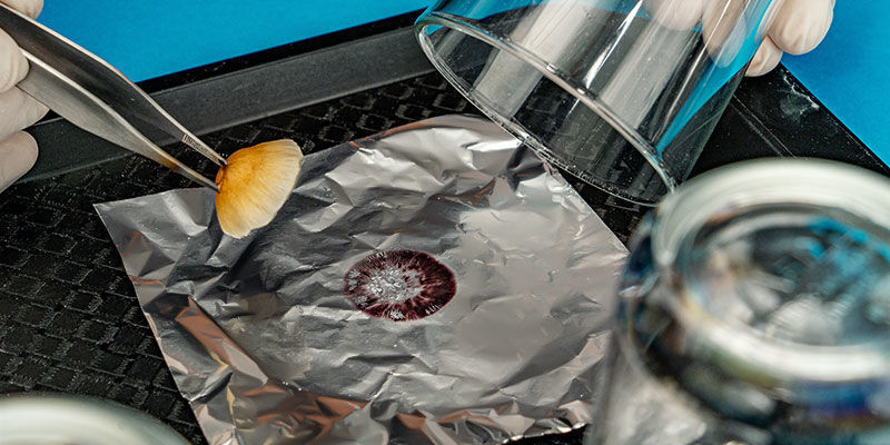 Jak vyrobit v&yacute;trusn&yacute; otisk houby: krok 7