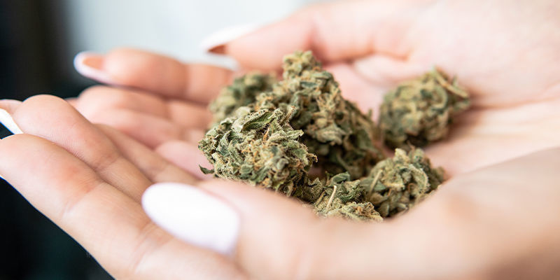 Př&iacute;nosy už&iacute;v&aacute;n&iacute; konop&iacute; jako n&aacute;stroje biohackingu