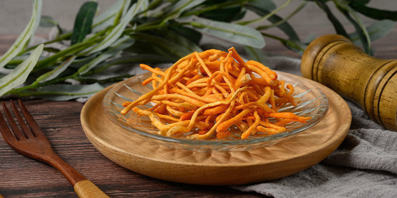 Biohacking with functional mushrooms