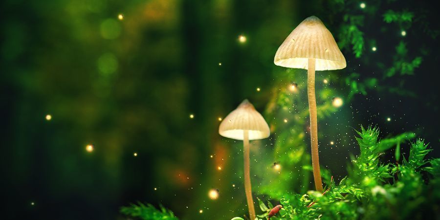 V&yacute;běr m&iacute;sta