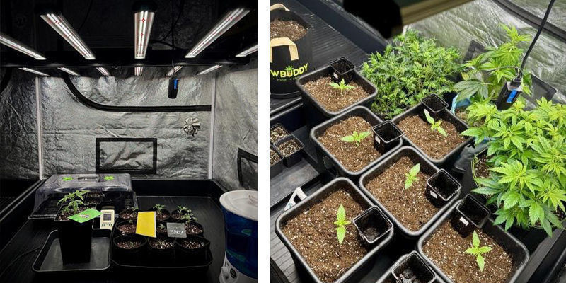 V&yacute;běr nejlep&scaron;&iacute;ho m&iacute;sta pro pěstebn&iacute; stan