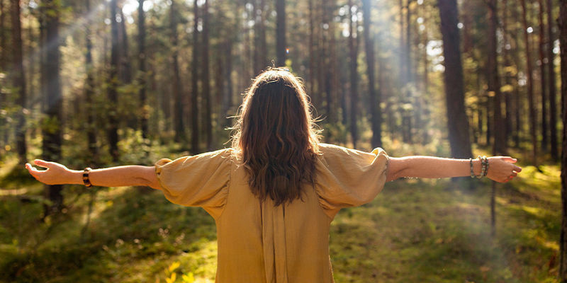 Druidsk&aacute; kultura: St&aacute;le živ&aacute;