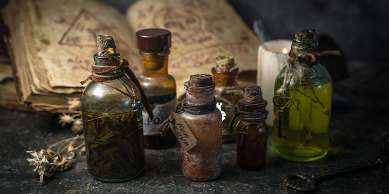 Co když druidov&eacute; nevyuž&iacute;vali houby?