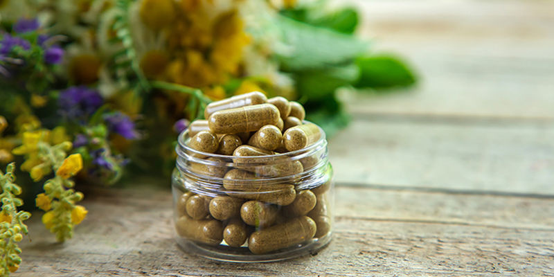 &Scaron;anta kočič&iacute; v bylinn&yacute;ch př&iacute;pravc&iacute;ch