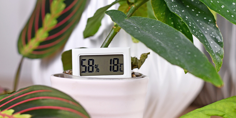 Maintain proper humidity levels