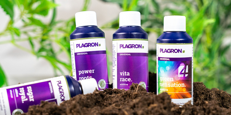 Př&iacute;sady ke konop&iacute;: Zv&aacute;žen&iacute;, kter&eacute; stoj&iacute; za to